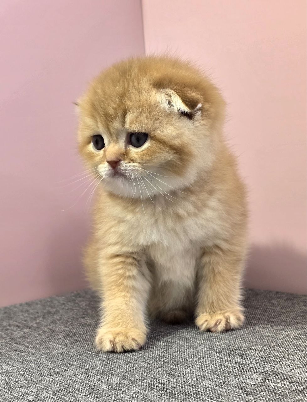 photo_2026-04-04 22.43.40